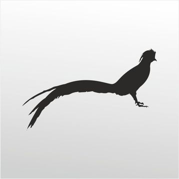 90 cm Anka Kuşu Folyo Sticker