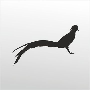 90 cm Anka Kuşu Folyo Sticker
