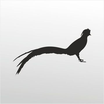 90 cm Anka Kuşu Folyo Sticker