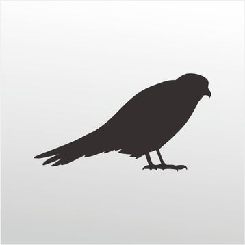 90 cm Arı Kuşu Folyo Sticker