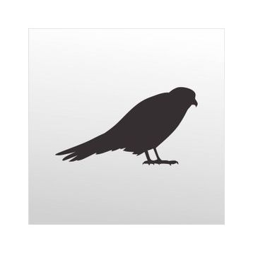 90 cm Arı Kuşu Folyo Sticker