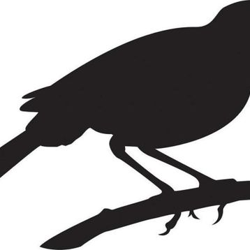 90 cm Arı Kuşu Folyo Sticker