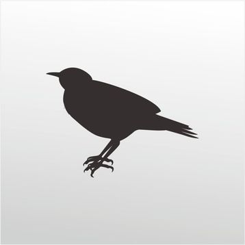 90 cm Bülbül Folyo Sticker