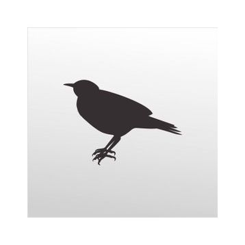 90 cm Bülbül Folyo Sticker