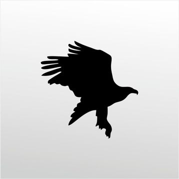 90 cm Kartal Folyo Sticker