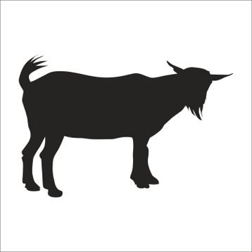90 cm Keçi Folyo Sticker