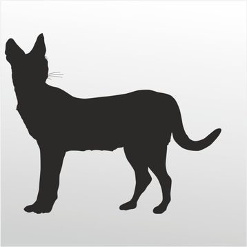 90 cm Kedi Folyo Sticker