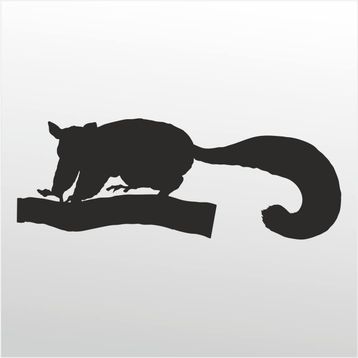 90 cm Kokarca Folyo Sticker