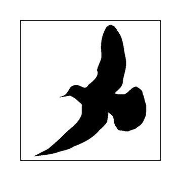 90 cm Kuş Folyo Sticker