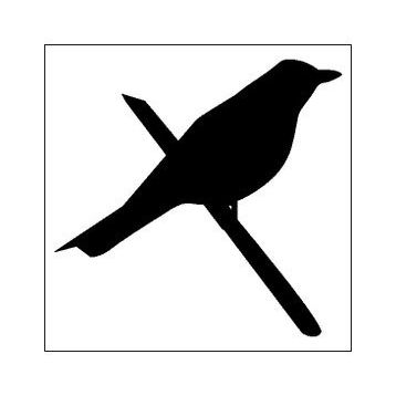 90 cm Kuş Folyo Sticker