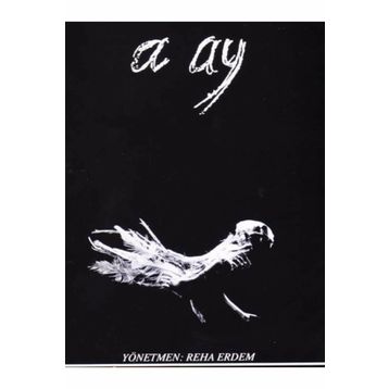 A AY - REHA ERDEM