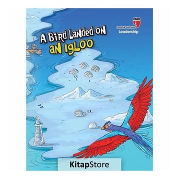 A Bird Landed On An Igloo - Neriman Karateki