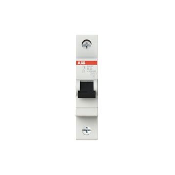 ABB 2CDS211001R0205 1x20A 6kA Otomatik Sigorta