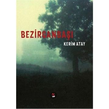 AÇ KAPIYI BEZİRGANBAŞI - MEHMET BAŞARAN