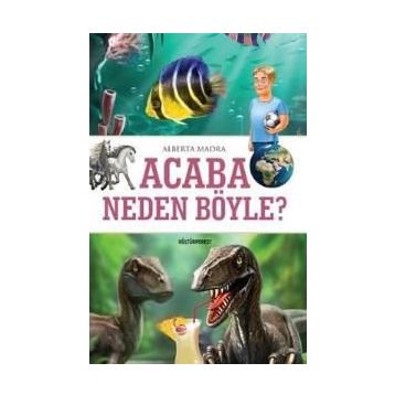 Acaba Neden Böyle? - Alberta Madra