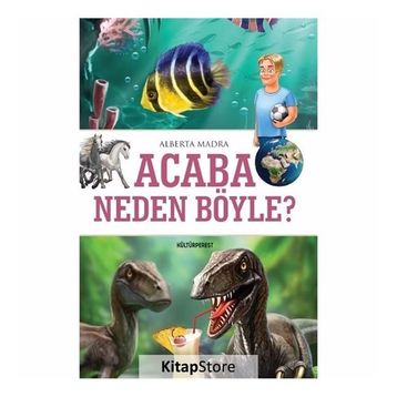 Acaba Neden Böyle? - Alberta Madra