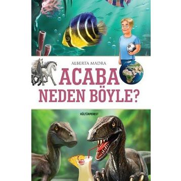 Acaba Neden Böyle? - Alberta Madra