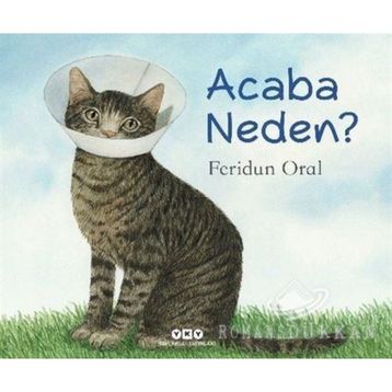 Acaba Neden? - Feridun Oral