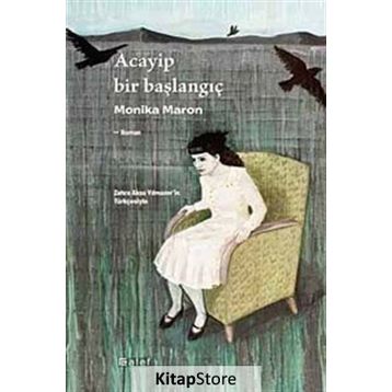 ACAYIP BIR BAŞLANGIÇ - MONIKA MARON