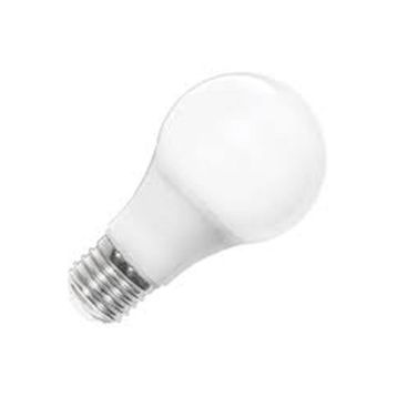 ACK AA13-01223 12W 6500K E27 Led A60 Ampul