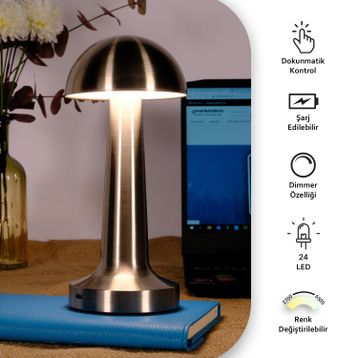ACK AF11-00293 Saten Renk Metal Gövde LED Masa Lambası