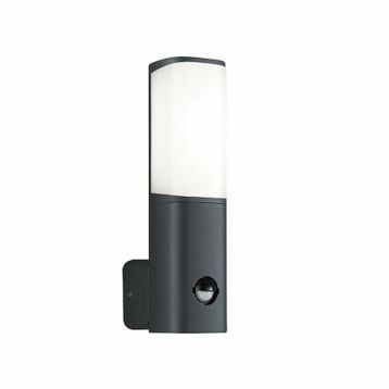 ACK AG43-01002 6W Tarus WLS 3000K Sensörlü Led Bahçe Apliği