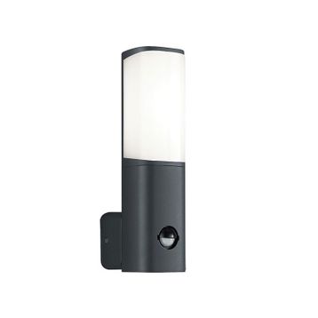 ACK AG43-01002 6W Tarus WLS 3000K Sensörlü Led Bahçe Apliği