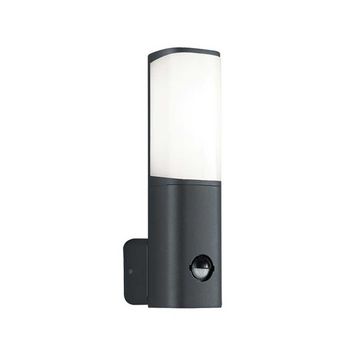 ACK AG43-01002 6W Tarus WLS 3000K Sensörlü Led Bahçe Apliği