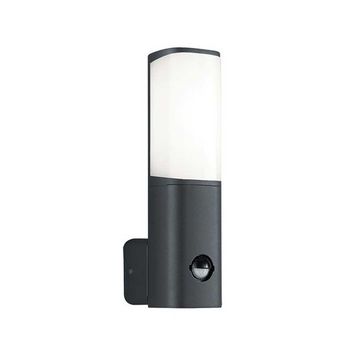 ACK AG43-01002 6W Tarus WLS 3000K Sensörlü Led Bahçe Apliği