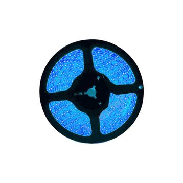 ACK AS01-00506 50m 220V 6W Mavi Şerit Led