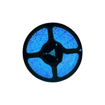 ACK AS01-00506 50m 220V 6W Mavi Şerit Led