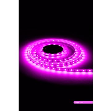 ACK AS01-00809 Pembe Işık 7W 4040 60 Şerit LED