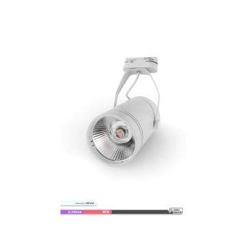 ACK Cob Led 6500 K 30 W Beyaz Gövde Çift Ayaklı Beyaz Işık Monofaze Ray Armatürü