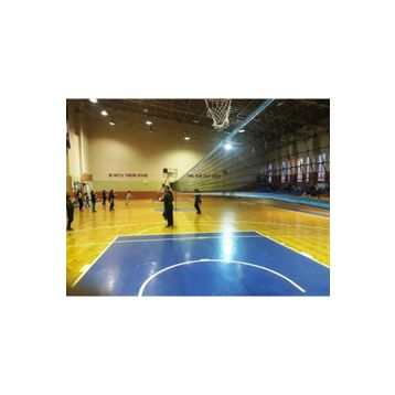 Adelinspor Silver 50,00 m Voleybol Filesi