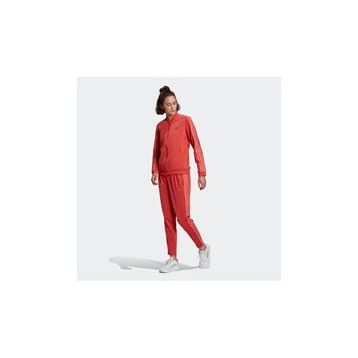 Adidas DT9340 W Adidas W.N.D. Kadın Eşofman Altı