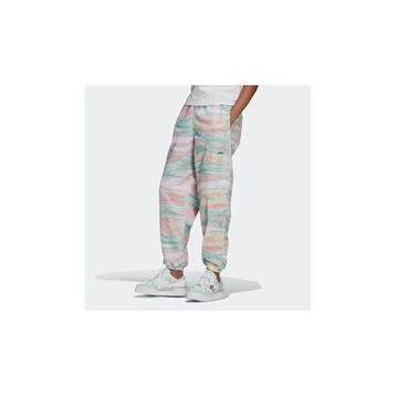 Adidas DT9340 W Adidas W.N.D. Kadın Eşofman Altı