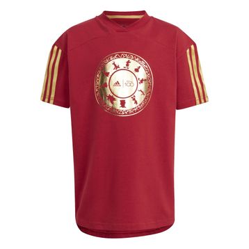 Adidas IN7306 Kırmızı LK DY 100 T Günlük Çocuk T-shirt