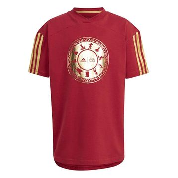 Adidas IN7306 Kırmızı LK DY 100 T Günlük Çocuk T-shirt