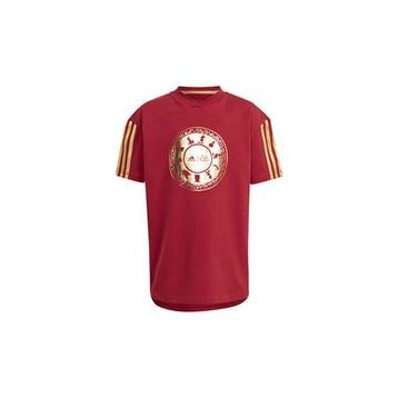 Adidas IN7306 Kırmızı LK DY 100 T Günlük Çocuk T-shirt