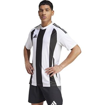 Adidas IW2143 Striped 24 Jsy Beyaz Erkek Futbol Forması