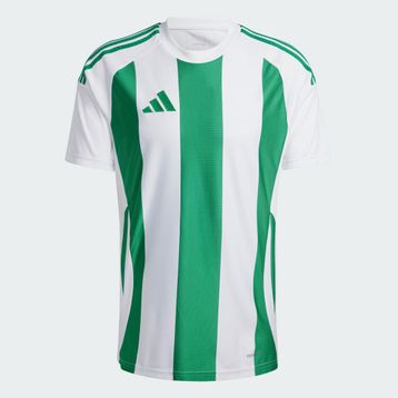 Adidas IW2148 Striped 24 Erkek Futbol Forma