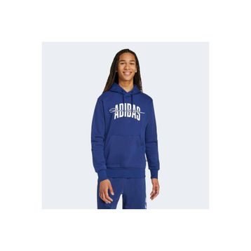 Adidas JM6428 Collegiate Script Graphic Erkek Kapüşonlu Üst