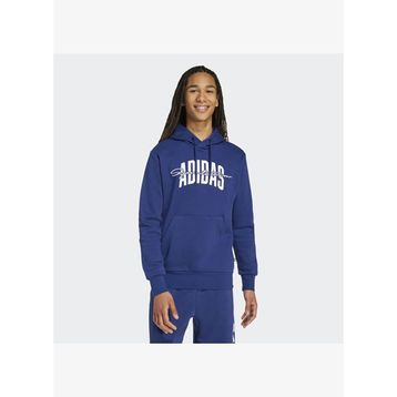 Adidas JM6428 Collegiate Script Graphic Erkek Kapüşonlu Üst