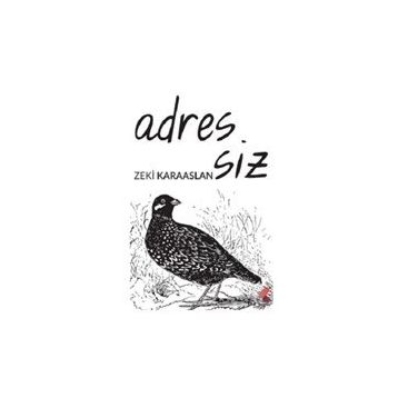 Adressiz - Zeki Karaaslan