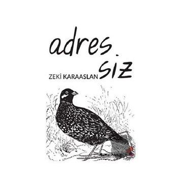Adressiz - Zeki Karaaslan