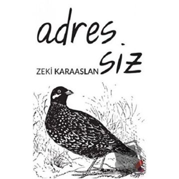 Adressiz - Zeki Karaaslan