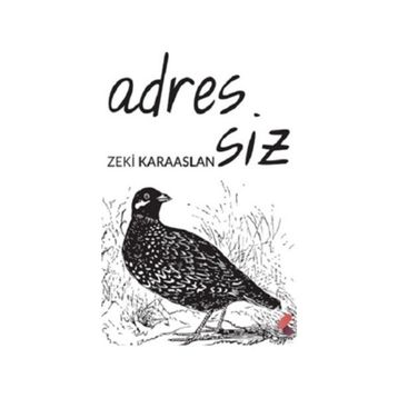 Adressiz - Zeki Karaaslan