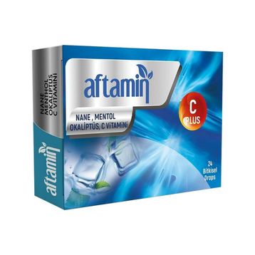 Aftamin 24 Adet Pastil