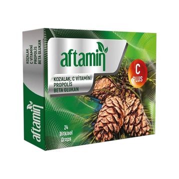 Aftamin 24 Adet Pastil