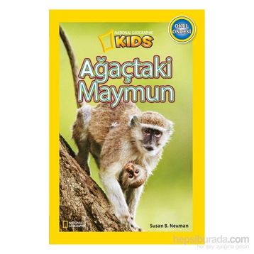 Ağaçtaki Maymun - Susan B. Neuman